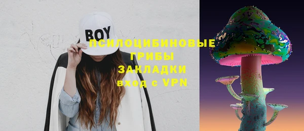 ГАЛЛЮЦИНОГЕННЫЕ ГРИБЫ Абинск