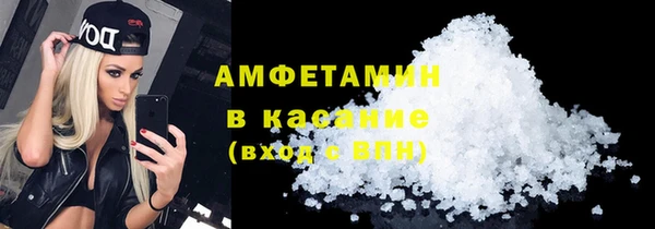 гидра Абаза