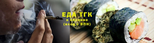 гидра Абаза