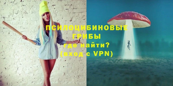 ГАЛЛЮЦИНОГЕННЫЕ ГРИБЫ Абинск