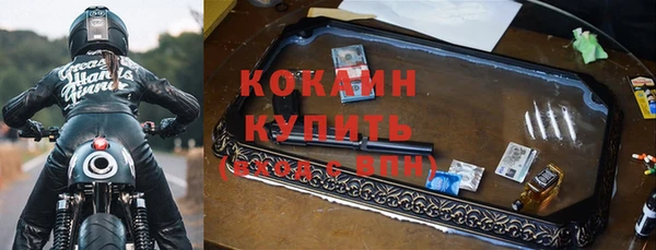 гидра Абаза