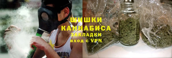 гидра Абаза